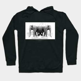 Two Elephant Cry Abstract Hoodie